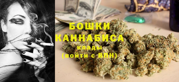 мдпв Бронницы